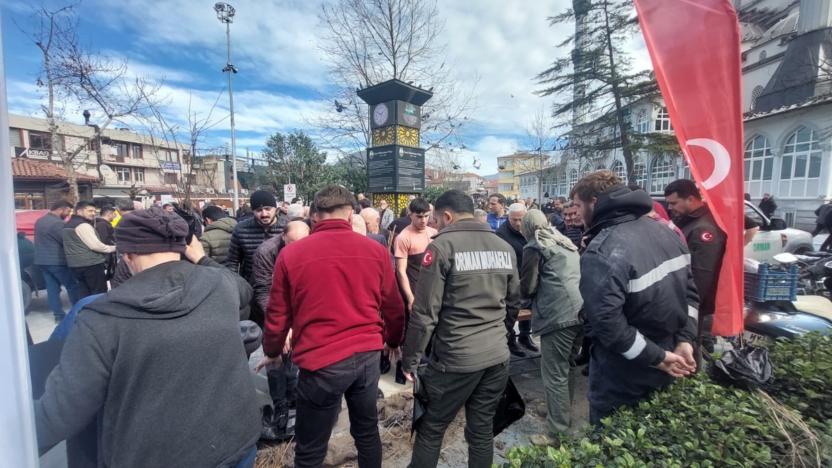 Akyazı'da ücretsiz meyve fidanı dağıtıldı