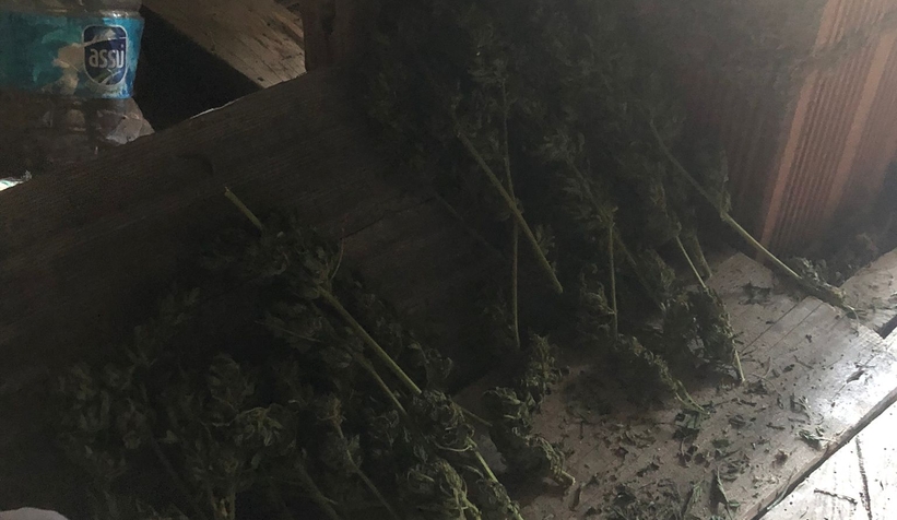 Akyazı'da uyuşturucu operasyonu