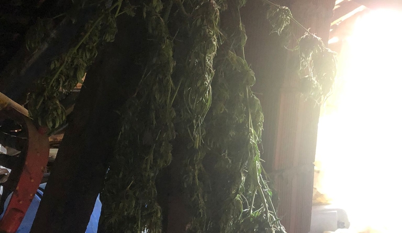 Akyazı'da uyuşturucu operasyonu