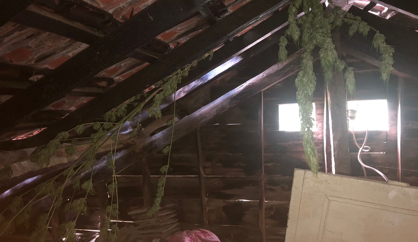 Akyazı'da uyuşturucu operasyonu