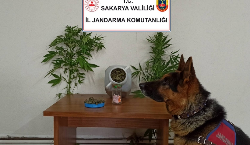 Akyazı'da uyuşturucu operasyonu