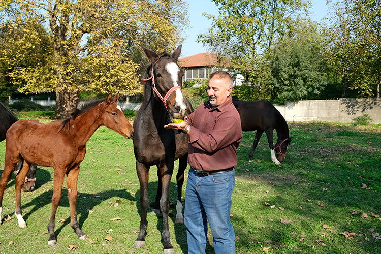 akyazi-da-yetistirdigi-atlar-pistlerde-boy-gosteriyoryu5tytncmn