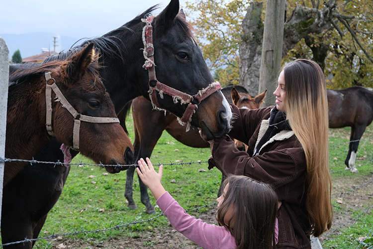akyazi-da-yetistirdigi-atlar-pistlerde-boy-gosteriyoryu5tytncmn