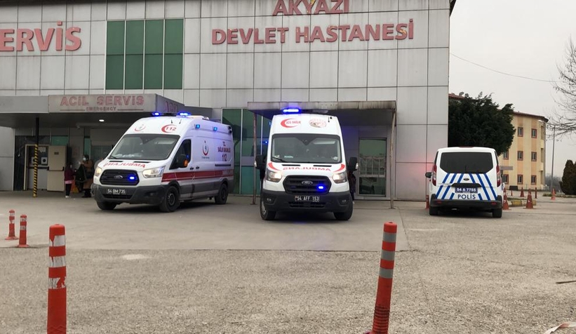 Akyazı'da yılanın ısırdığı kişi hastanelik oldu