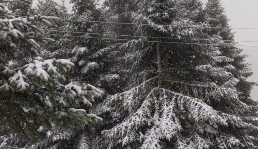 Akyazı'da yüksek kesimler beyaza büründü