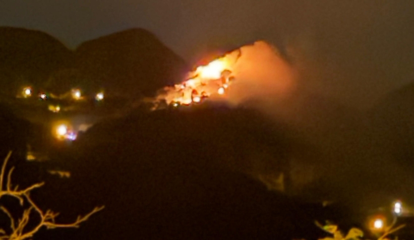 Akyazı'daki orman yangını söndürüldü