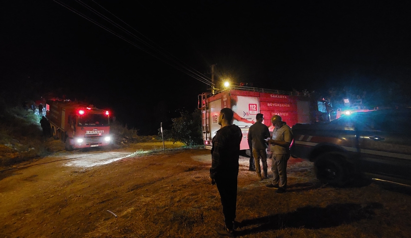 Akyazı'daki orman yangını söndürüldü