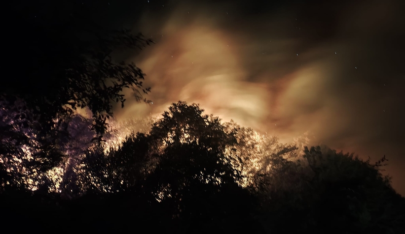 Akyazı'daki orman yangını söndürüldü