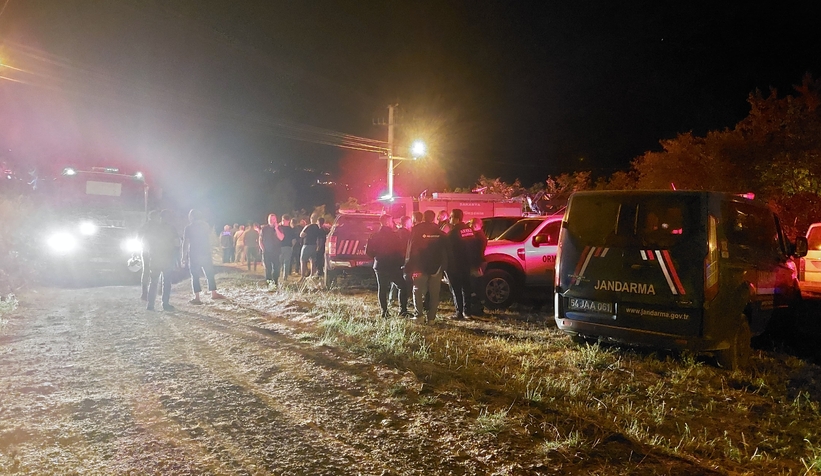 Akyazı'daki orman yangını söndürüldü