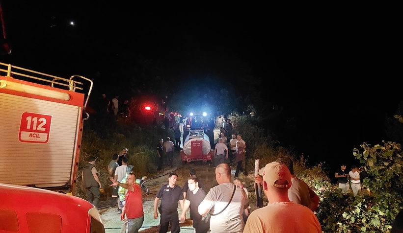 Akyazı'daki orman yangını söndürüldü