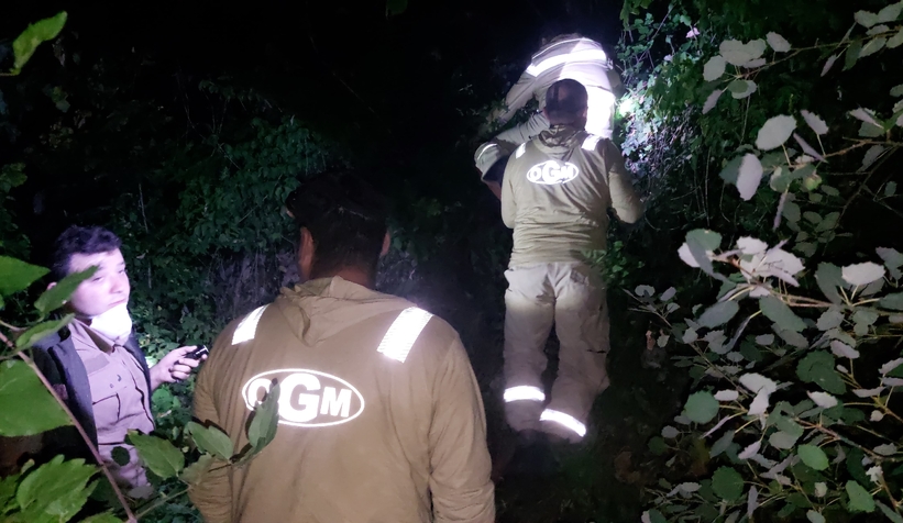 Akyazı'daki orman yangını söndürüldü