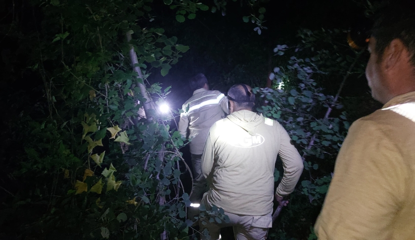 Akyazı'daki orman yangını söndürüldü