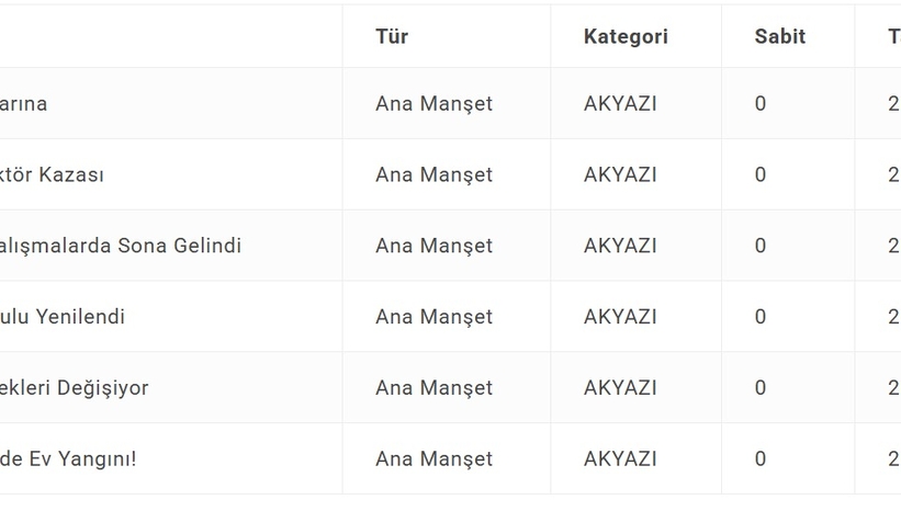 akyazi-haberden-sert-yanityk1gdw5xrg
