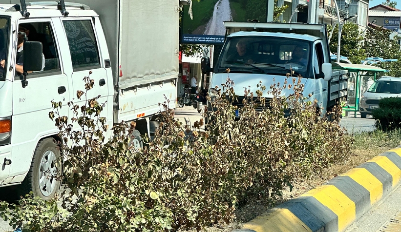 akyazi-halki-bu-guzelligi-hak-etmiyor-musgjrocsrn0
