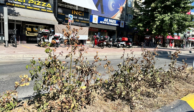 akyazi-halki-bu-guzelligi-hak-etmiyor-musgjrocsrn0