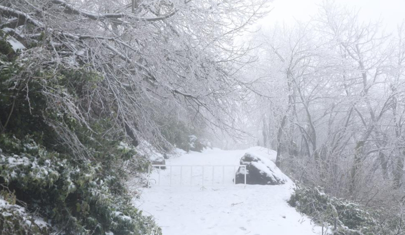 akyazi-nin-yuksek-kesimleri-karla-kaplandizstgywyvtg