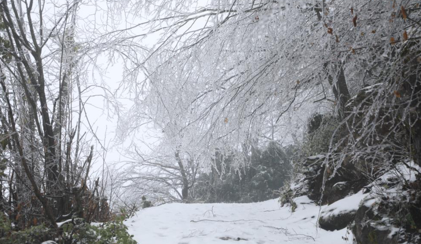 akyazi-nin-yuksek-kesimleri-karla-kaplandizstgywyvtg