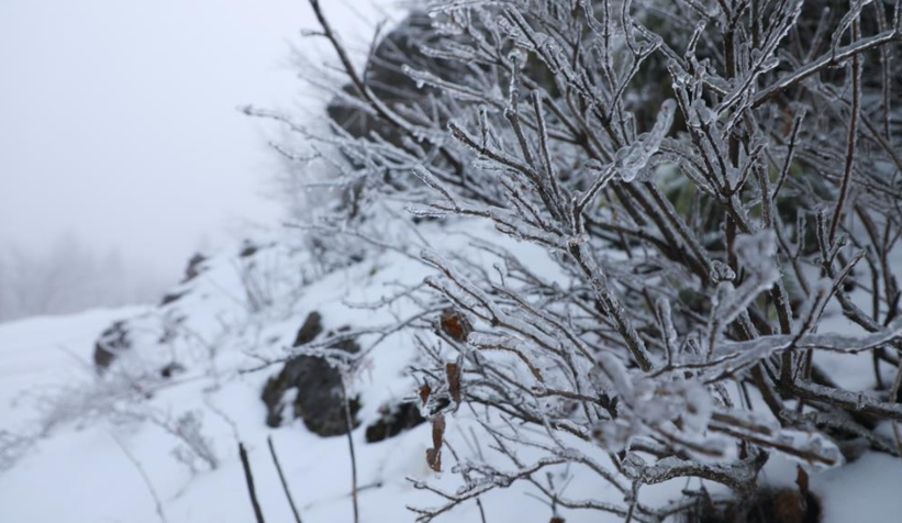 akyazi-nin-yuksek-kesimleri-karla-kaplandizstgywyvtg