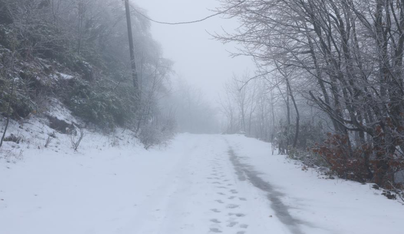 akyazi-nin-yuksek-kesimleri-karla-kaplandizstgywyvtg