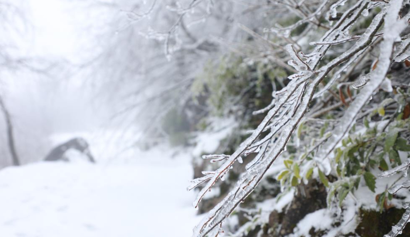 akyazi-nin-yuksek-kesimleri-karla-kaplandizstgywyvtg