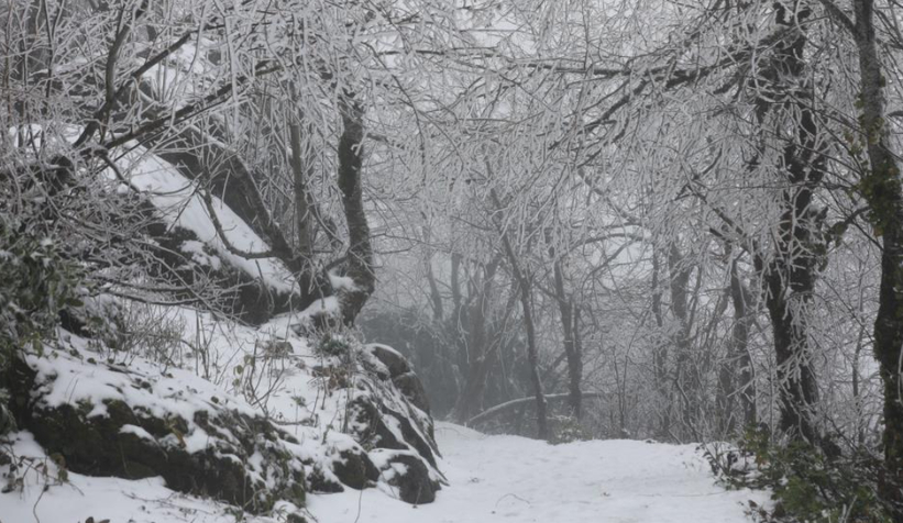 akyazi-nin-yuksek-kesimleri-karla-kaplandizstgywyvtg