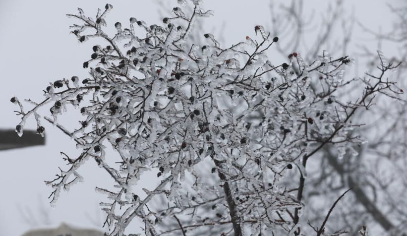 akyazi-nin-yuksek-kesimleri-karla-kaplandizstgywyvtg