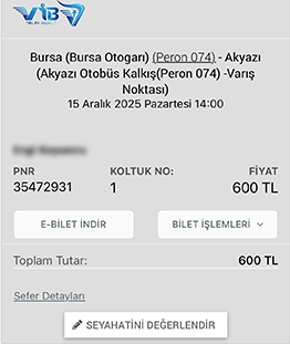 akyazi-otogara-girmeyen-ylcu-otobusu-genc-kizi-gece-vakti-giselerde-indirdinug1r1owtw