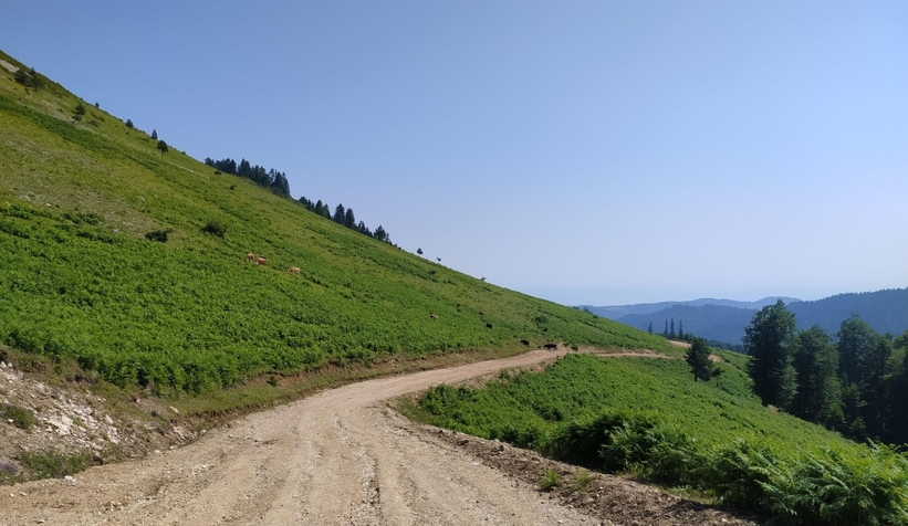 akyazi-ve-hendek-yaylalari-na-10-res-kuruluyor-surec-basladiuxjqcerqyw