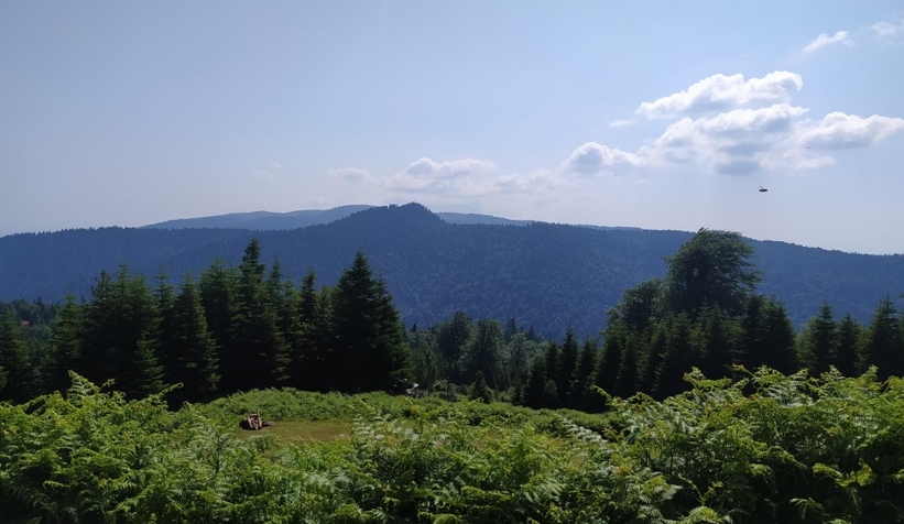 akyazi-ve-hendek-yaylalari-na-10-res-kuruluyor-surec-basladiuxjqcerqyw