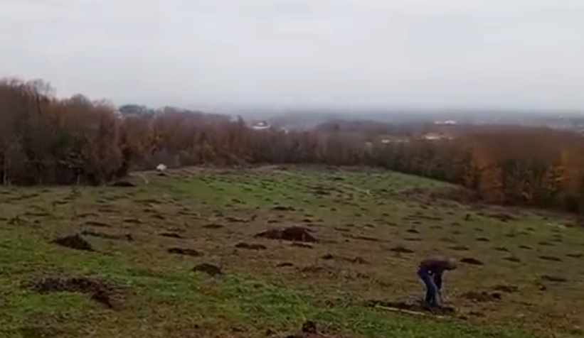 akyazi-ve-karapurcek-te-orman-isgali-son-bulduz2qrmzzil2