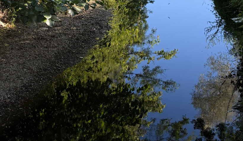 Akyazı Yağcılar Deresi kirlilikten siyaha döndü