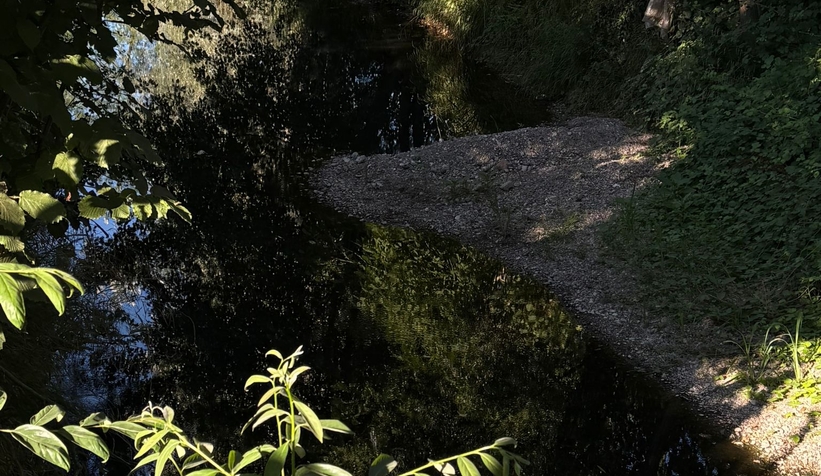 Akyazı Yağcılar Deresi kirlilikten siyaha döndü