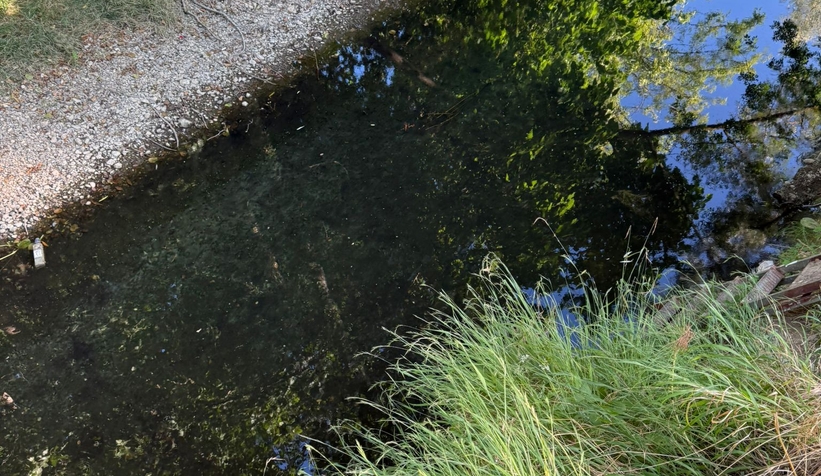 Akyazı Yağcılar Deresi kirlilikten siyaha döndü