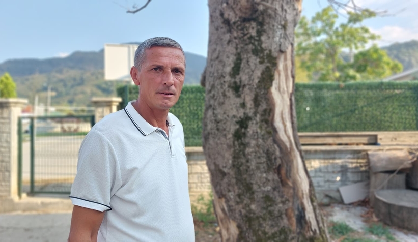 Akyazı’da asırlık çınar ağaçları kurumaya başladı; Vatandaş tedirgin