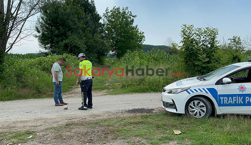 Akyazı'da tarlada kanlı infaz