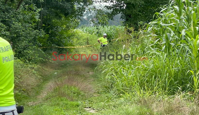 Akyazı'da tarlada kanlı infaz