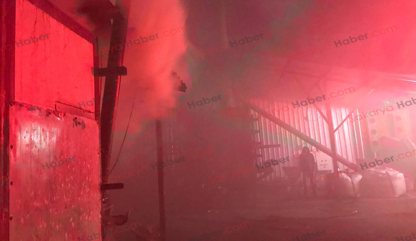 Akyazıda mangal kömürü üretim tesisinde yangın çıktı