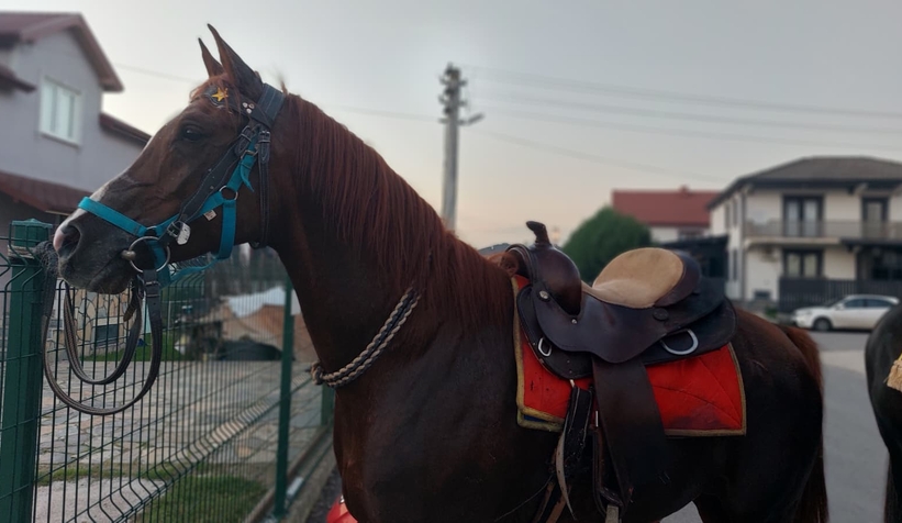 akyazida-renkli-goruntulern21im1u5m1