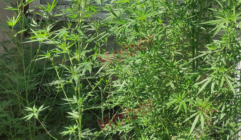 Akyazı’da Zehir Tacirlerine Geçit Yok