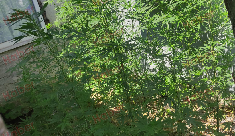 Akyazı’da Zehir Tacirlerine Geçit Yok