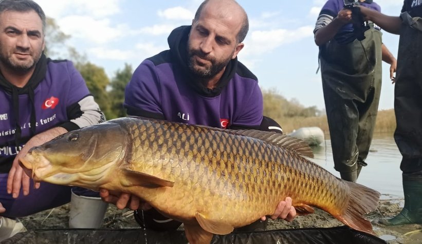 Akyazılı balıkçılar 19,5 kiloluk sazan yakaladı