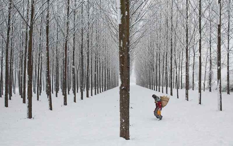 Akyazılı fotoğrafçı Ahmet Zeki Okur yarışmaya damga vurdu