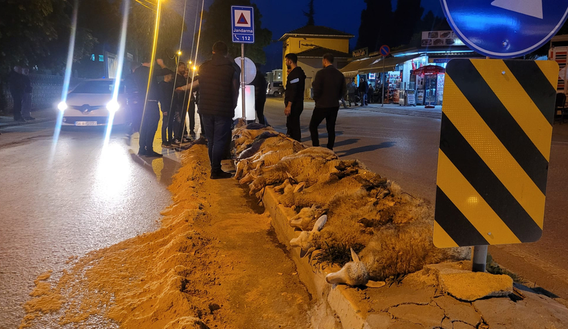 Akyazılı iş adamı Ömer Peker den zafer kutlaması