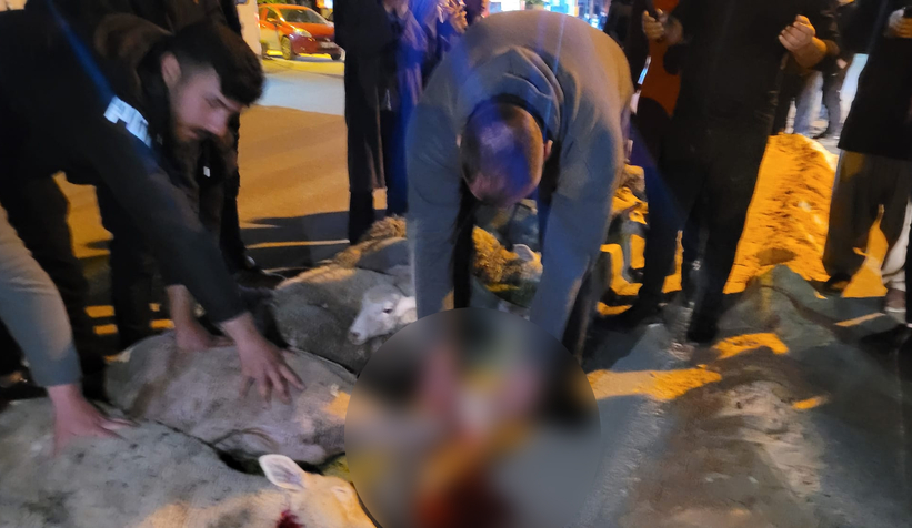 Akyazılı iş adamı Ömer Peker den zafer kutlaması