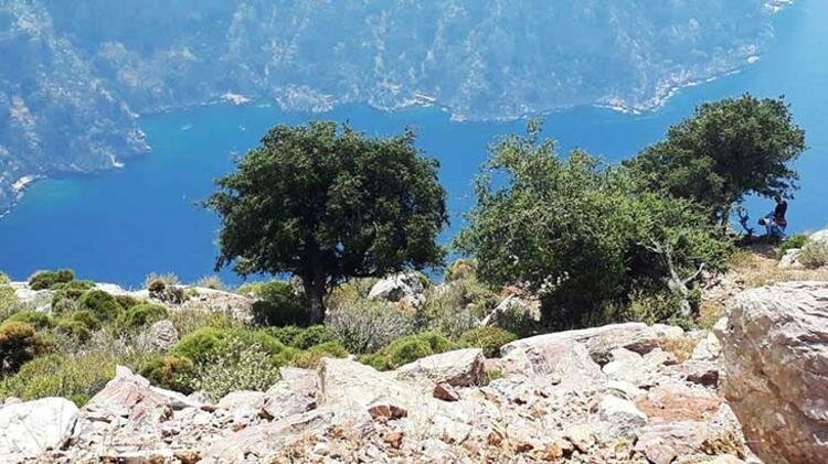 akyazili-semra-aysal-in-olumunde-yeni-goruntu-ortaya-ciktisitps1ffbd
