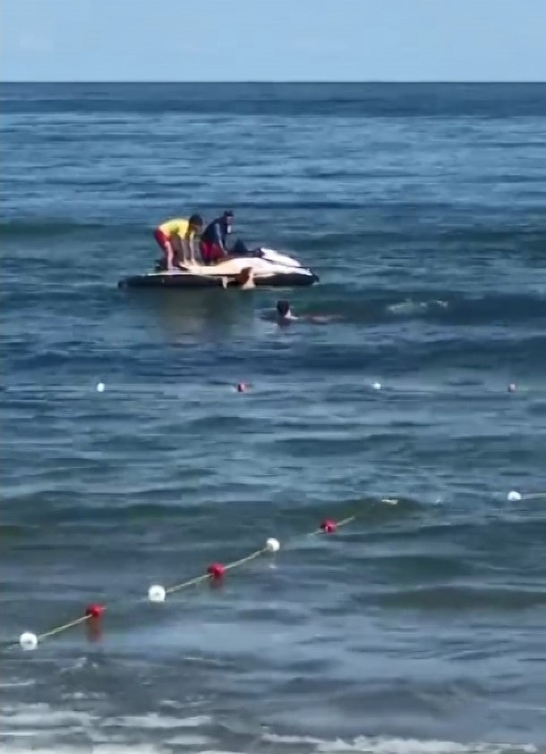 Akyazılı Yunus'u arama çalışmaları sürüyor