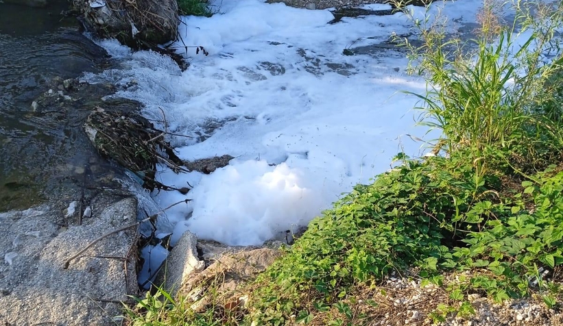 Alaağaç Deresi köpürdü, balıklar öldü