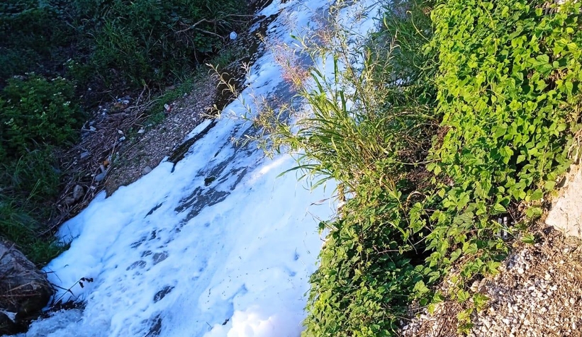 Alaağaç Deresi köpürdü, balıklar öldü