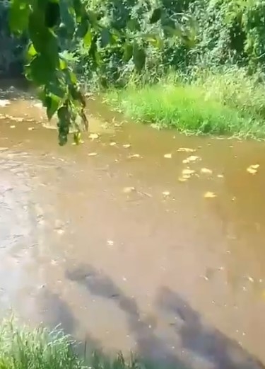 alaagac-ta-dereye-kanalizasyon-aktimfpwzkqzk0