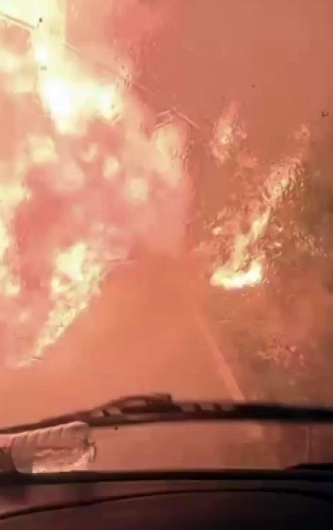 Alev çemberinin içinden geçtiler